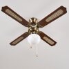 Ventilatori a soffitto Morea Ottone antico, Legno scuro, 1-Luce