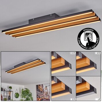 Favorina Plafoniera LED Écru, Nero, 1-Luce