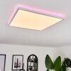 Hotinhas Plafoniera LED Bianco, 1-Luce, Telecomando, Cambia colore