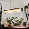 Siders Lampada a Sospensione LED Nero, 1-Luce, Cambia colore