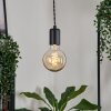 Lemone Lampadario a sospensione Nero, 1-Luce