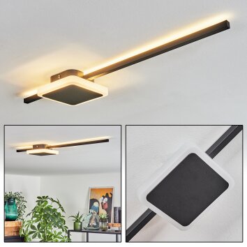 Amdal Plafoniera LED Nero, Bianco, 2-Luci