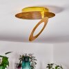 Sunrise Plafoniera LED Oro, 1-Luce