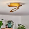 Sunrise Plafoniera LED Oro, 1-Luce