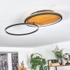 Cardozo Plafoniera LED Écru, Nero, 1-Luce