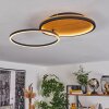 Cardozo Plafoniera LED Écru, Nero, 1-Luce