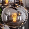 Apedo Lampadario a sospensione - Vetro Grigio fumo, 6-Luci