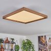 Longvic Plafoniera LED Marrone, Aspetto del legno, Nero, 1-Luce