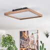 Longvic Plafoniera LED Marrone, Aspetto del legno, Nero, 1-Luce, Telecomando