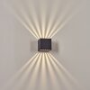 Barrero Applique da esterno LED Antracite, 1-Luce