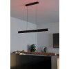Eglo ANDREAS-Z Lampadario a sospensione LED Nero, 2-Luci, Cambia colore Eglo ANDREAS-Z Lampadario a sospensione LED Nero, 2-Luci, Cambia colore