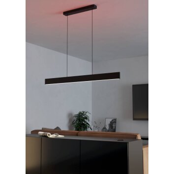 Eglo ANDREAS-Z Lampadario a sospensione LED Nero, 2-Luci, Cambia colore