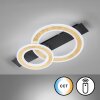 Fischer & Honsel Circle Plafoniera LED Nero, 1-Luce, Telecomando