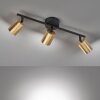 Fischer & Honsel Vano Plafoniera LED Nero, 3-Luci