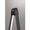 Fischer & Honsel Fenga Lampada da terra LED Nero, 1-Luce