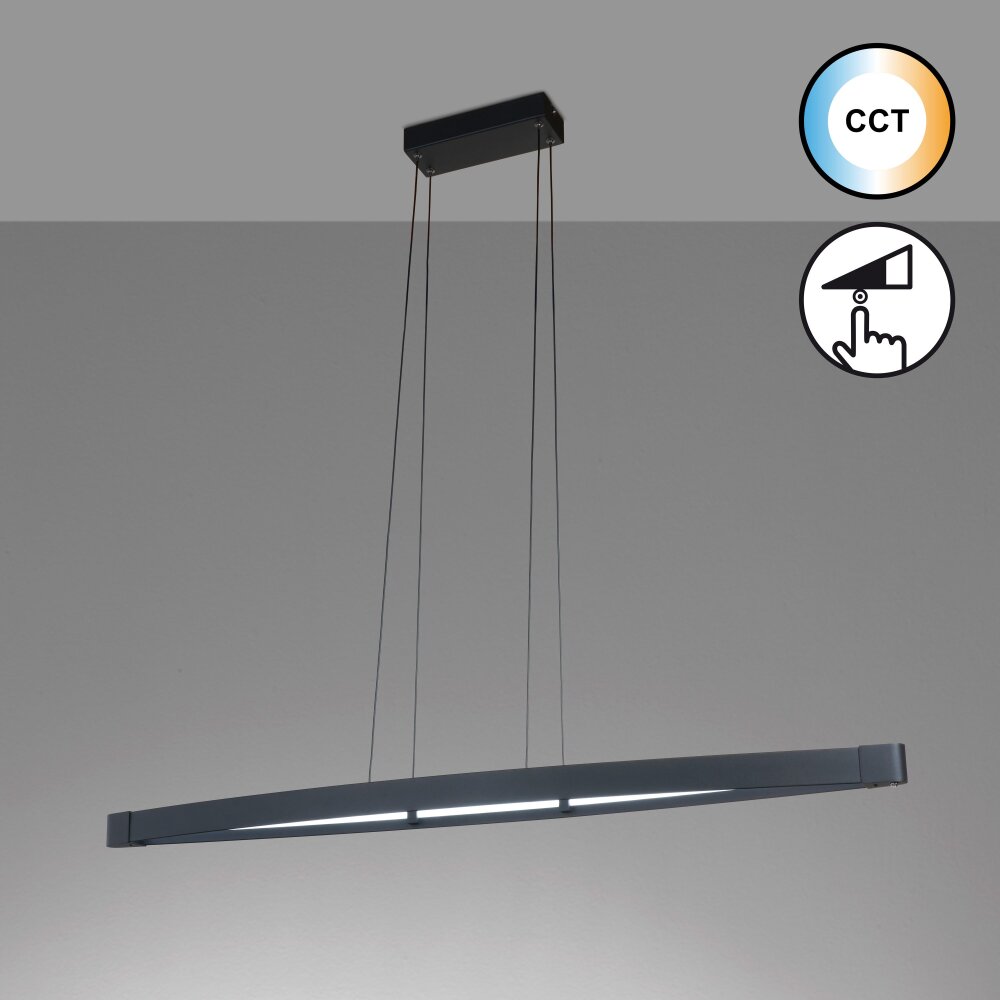 Fischer & Honsel Fenga Lampada a Sospensione LED Nero, 1-Luce main product photo