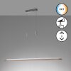 Fischer & Honsel SHINE-WOOD Lampada a Sospensione LED Nichel opaco, 1-Luce