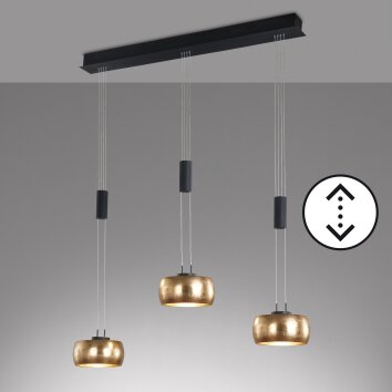 Fischer & Honsel Colette Lampada a Sospensione LED Nero, 3-Luci