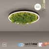 Leuchten-Direkt GREEN RITUS Plafoniera LED Nero, 1-Luce