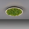 Leuchten-Direkt GREEN RITUS Plafoniera LED Nero, 1-Luce