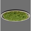 JUST LIGHT GERDA RITUS Plafoniera LED Nero, 1-Luce