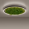 JUST LIGHT GERDA RITUS Plafoniera LED Nero, 1-Luce