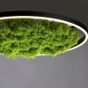 JUST LIGHT GERDA RITUS Plafoniera LED Nero, 1-Luce