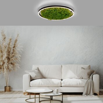 JUST LIGHT GERDA RITUS Plafoniera LED Nero, 1-Luce