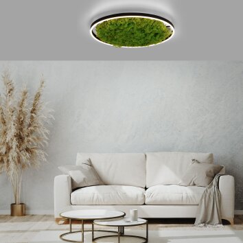 Leuchten-Direkt GREEN RITUS Plafoniera LED Nero, 1-Luce