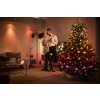 Philips Hue Festavia Catenaria luminosa LED Nero, 250-Luci, Cambia colore