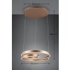 Trio Marnie Lampada a Sospensione LED Marrone, 1-Luce