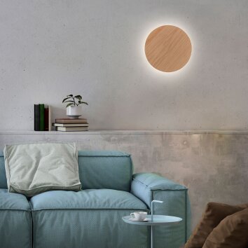 Paul Neuhaus AKKU PUNTUA Applique LED Bianco, 1-Luce, Telecomando