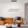 Paul Neuhaus BARRA Lampada a Sospensione LED Oro, Nero, 1-Luce