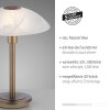 Paul Neuhaus ENOVA Lampada da tavolo LED Ottone antico, 1-Luce