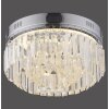 Paul Neuhaus KRISTA Plafoniera LED Cromo, 1-Luce