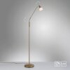 Paul Neuhaus PINO Lampada da terra LED Ottone antico, 1-Luce