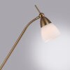 Paul Neuhaus PINO Lampada da terra LED Ottone antico, 1-Luce