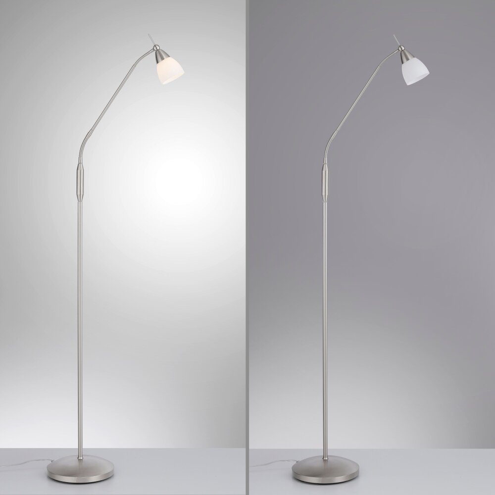 Paul Neuhaus PINO Lampada da terra LED Argento, 1-Luce