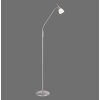 Paul Neuhaus PINO Lampada da terra LED Argento, 1-Luce