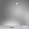 Paul Neuhaus PINO Lampada da terra LED Ottone, 1-Luce
