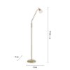 Paul Neuhaus PINO Lampada da terra LED Ottone, 1-Luce