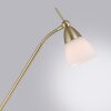 Paul Neuhaus PINO Lampada da terra LED Ottone, 1-Luce