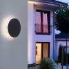 Paul Neuhaus PUNTUA Applique da esterno LED Antracite, 1-Luce