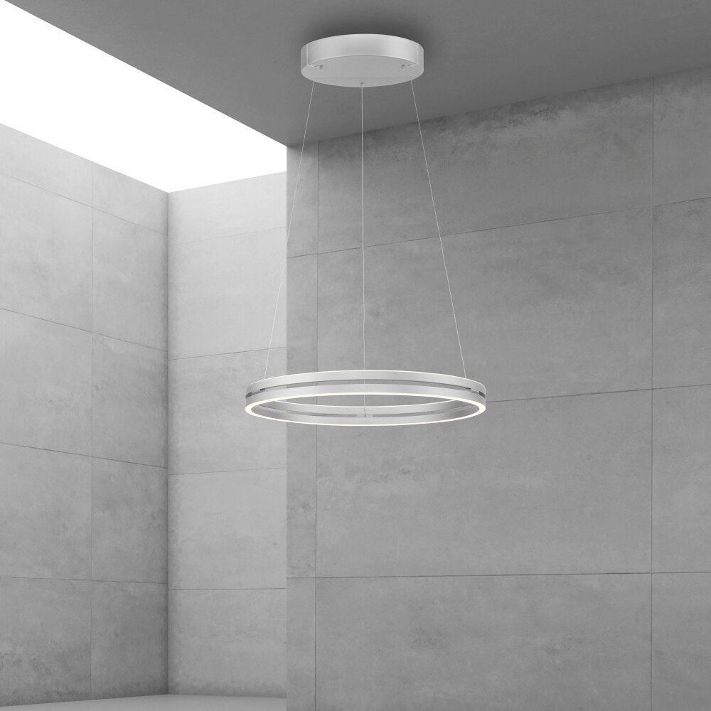 Paul Neuhaus PURE E-LOOP Lampada a Sospensione LED Argento, 2-Luci, Telecomando main product photo
