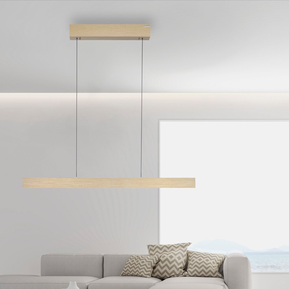 Paul Neuhaus PURE E-MOTION Lampada a Sospensione LED Oro, 1-Luce, Telecomando main product photo