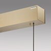 Paul Neuhaus PURE E-MOTION Lampada a Sospensione LED Oro, 1-Luce, Telecomando