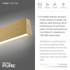 Paul Neuhaus PURE E-MOTION Lampada a Sospensione LED Oro, 1-Luce, Telecomando