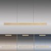 Paul Neuhaus PURE E-MOTION Lampada a Sospensione LED Oro, 1-Luce, Telecomando