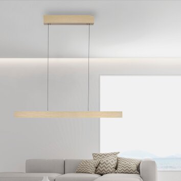 Paul Neuhaus PURE E-MOTION Lampada a Sospensione LED Oro, 1-Luce, Telecomando