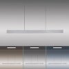 Paul Neuhaus PURE E-MOTION Lampada a Sospensione LED Argento, 1-Luce, Telecomando